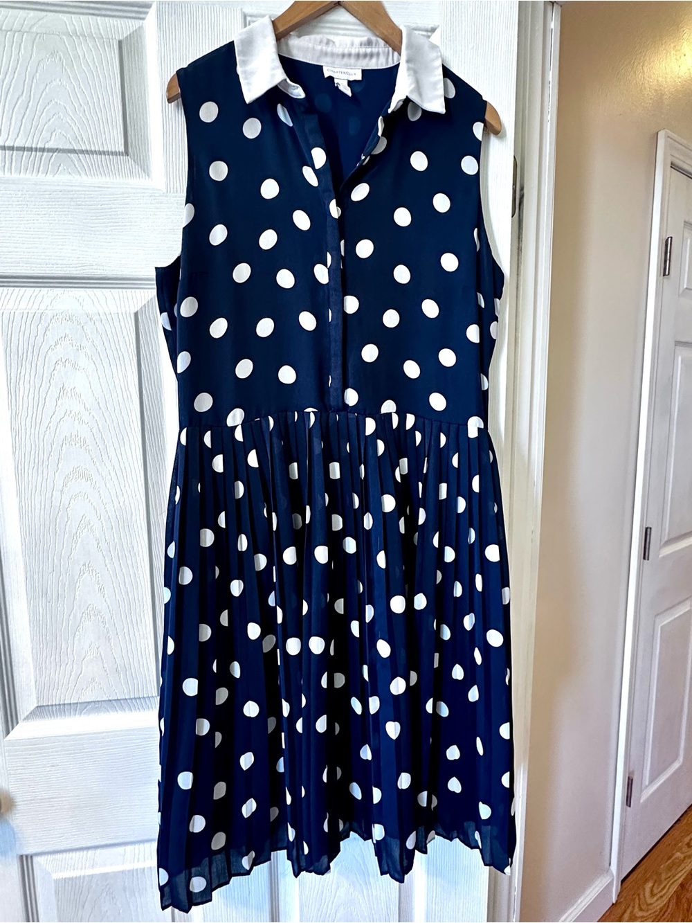 Charter Club Navy and White Polka Dot Blouse with Contrast Collar